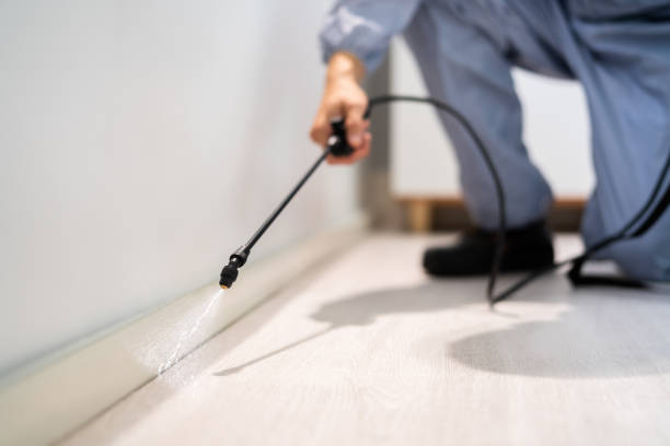 Bed Bug Pre-Treatment Preparation Assessment in Caddo Mills