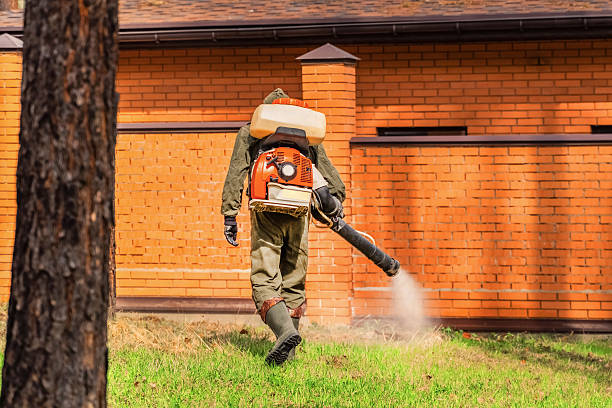 Bed Bug Clearance Verification and Documentation in Caddo Mills